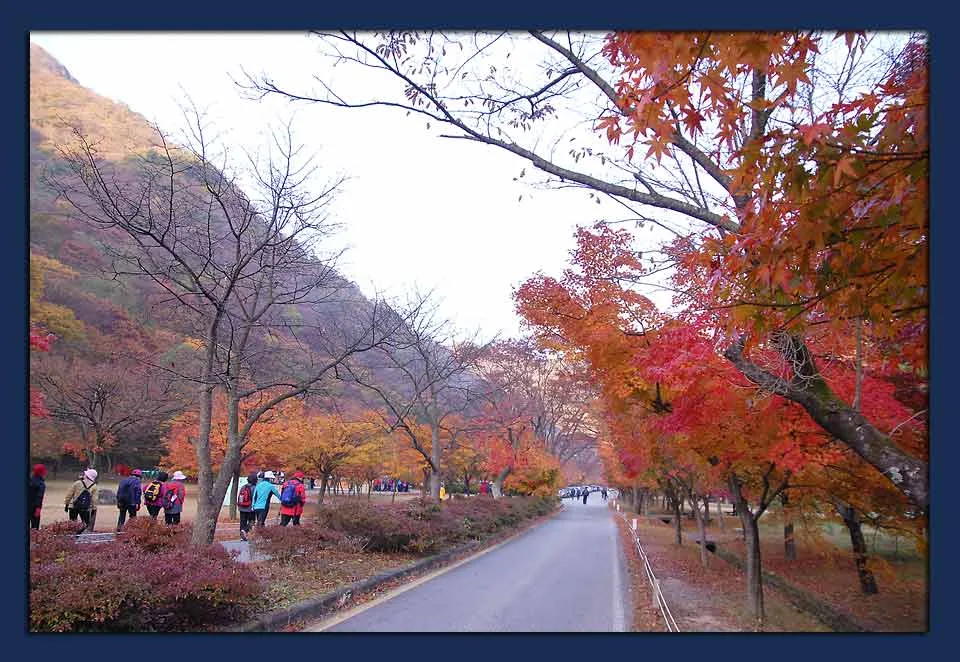 아름다운 내장산 남전도회 단합대회 사진 3