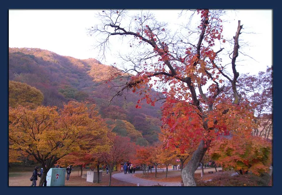 아름다운 내장산 남전도회 단합대회 사진 4