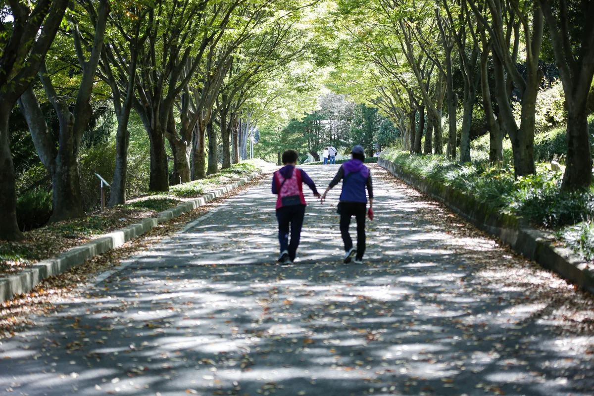 야유회 사진 181